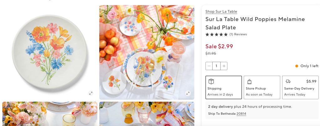 Sur La Table Wild Poppies Melamine Salad Plate 
Sale
$2.99